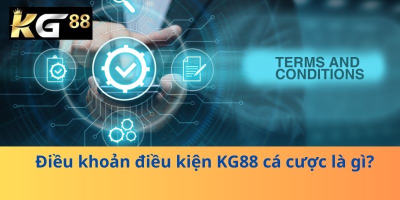 Điều khoản điều kiện KG88 cá cược là gì?