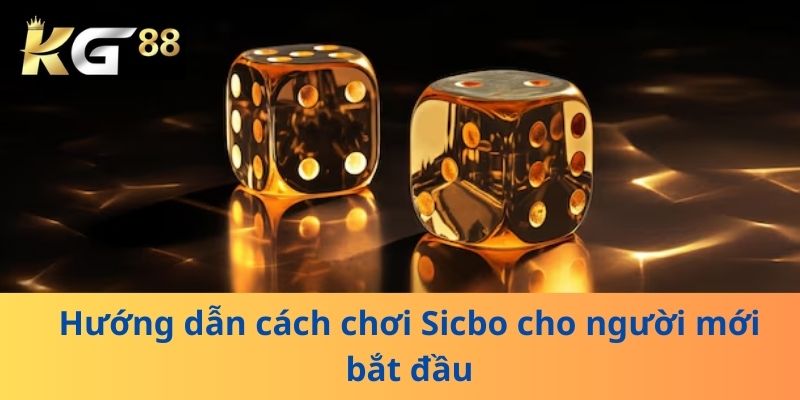 Hướng dẫn cách chơi Sicbo cho người mới bắt đầu